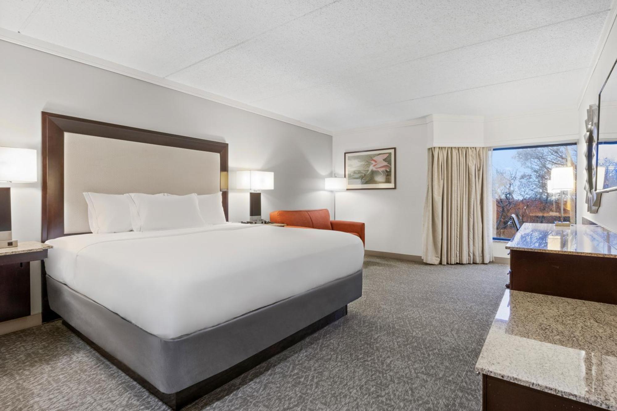 King Room with Mountain View