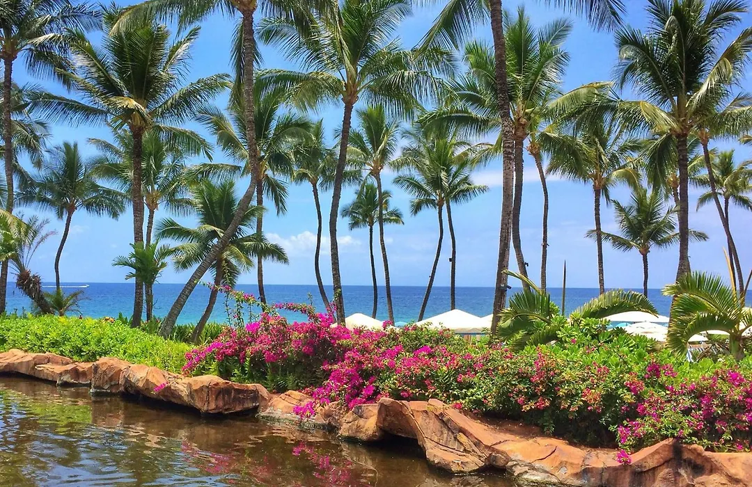 Grand Wailea Resort Hotel & Spa, A Waldorf Astoria Resort-1