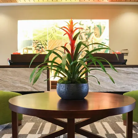 Hotel Indigo Traverse City By Ihg-3