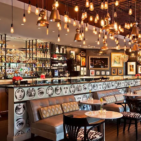 Hotel Zaza Dallas-3