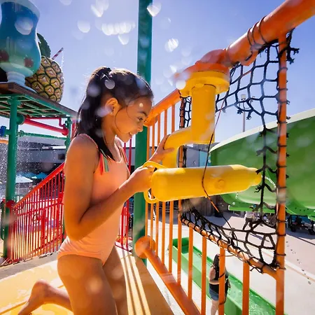 Coco Key Hotel & Water Park Resort-3